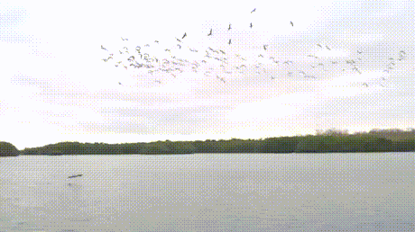 84acd044ec071f2b98778f3778aa6a73_1500440207_0348.gif
