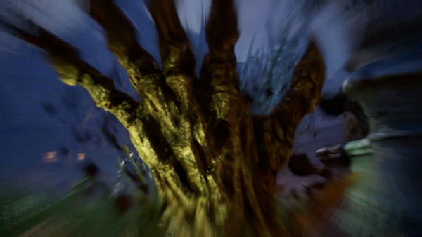 a36693fdfc1d0fb392e92c06e6c89506_1785887002_2989.jpg